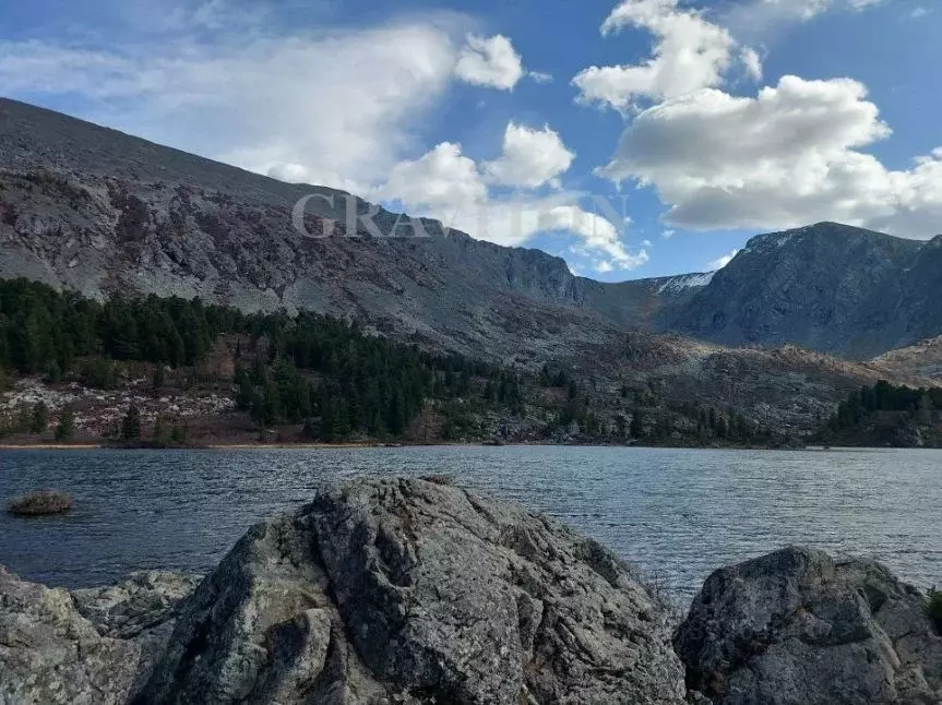 Участок в Алтай, Улаганский район, с. Балыкча Центральная ул., 1 (10.0 ... - Фото 1