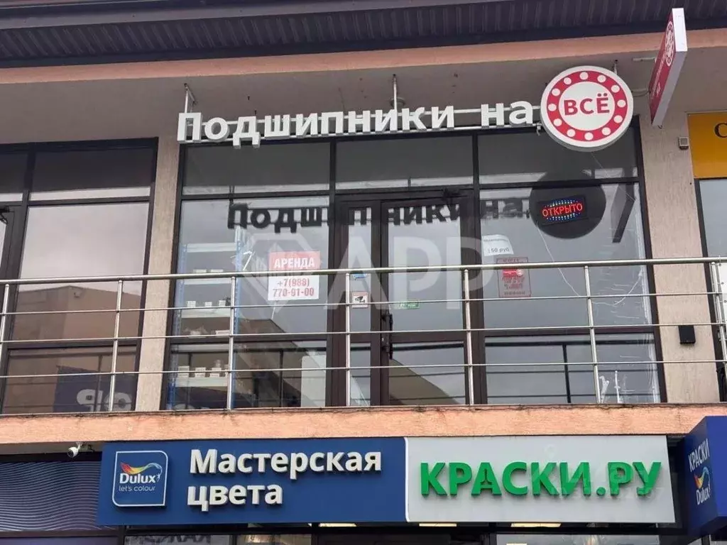 Помещение свободного назначения в Краснодарский край, Геленджик просп. ... - Фото 1