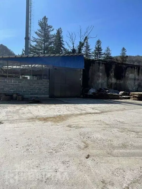 Производственное помещение в Краснодарский край, Сочи городской округ, ... - Фото 1