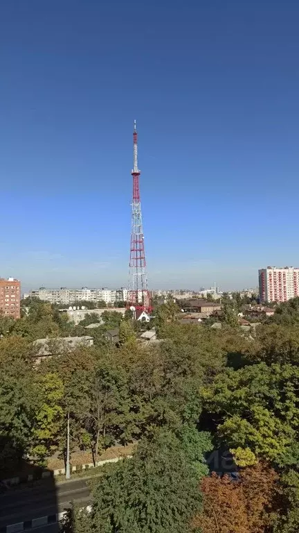 Студия Ростовская область, Ростов-на-Дону ул. Петрашевского, 36 (50.0 ... - Фото 0