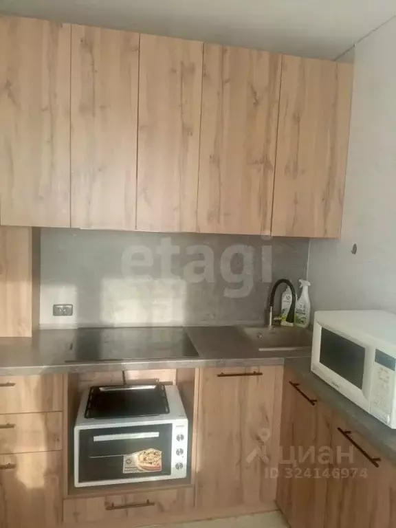 Дом в Омская область, Омск СНТ Виктория ТСН, 261 (58 м) - Фото 2