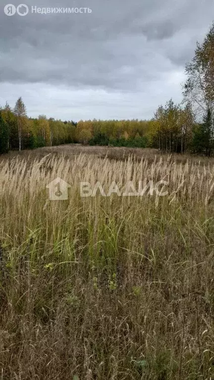 Участок в Нижегородская область, Павловский муниципальный округ, ... - Фото 1