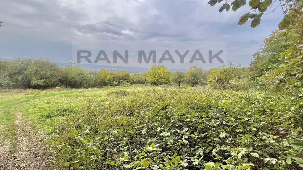 Участок в Адыгея, Майкопский район, пос. Тульский ул. Советская (15.0 ... - Фото 1