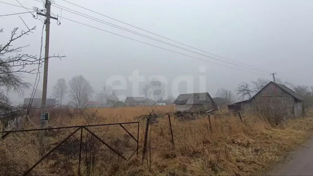 Участок в Смоленская область, Руднянский муниципальный округ, д. ... - Фото 1