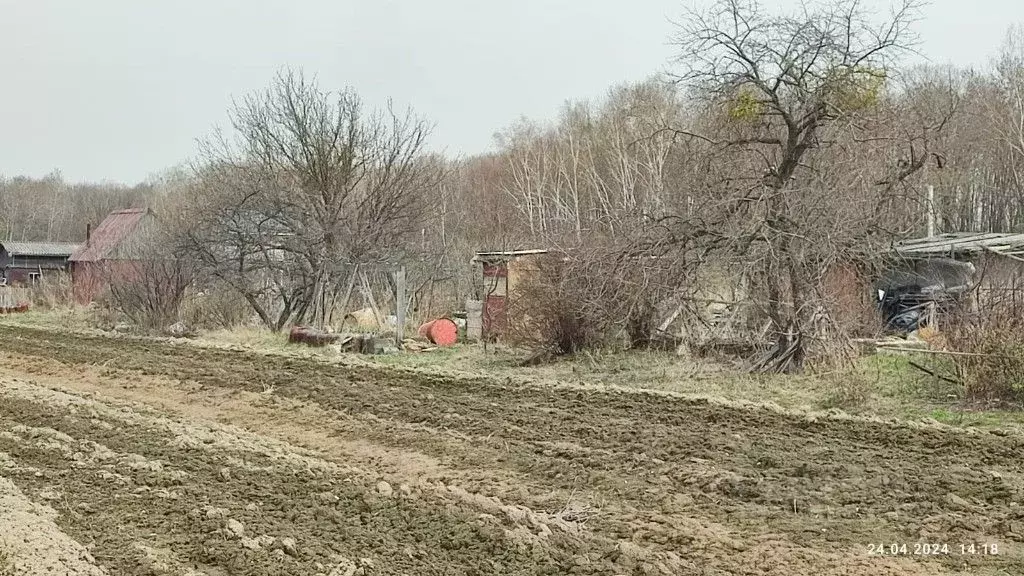 Участок в Хабаровский край, Хабаровск Березовское ш. (14.0 сот.) - Фото 1