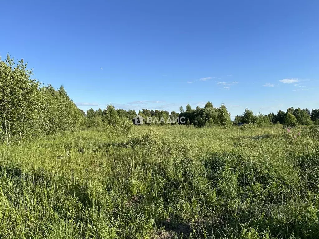 Участок в Нижегородская область, Нижний Новгород д. Новопавловка,  ... - Фото 1