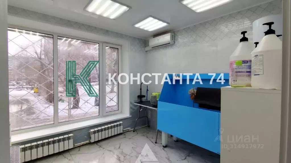 Помещение свободного назначения в Челябинская область, Челябинск ул. ... - Фото 0