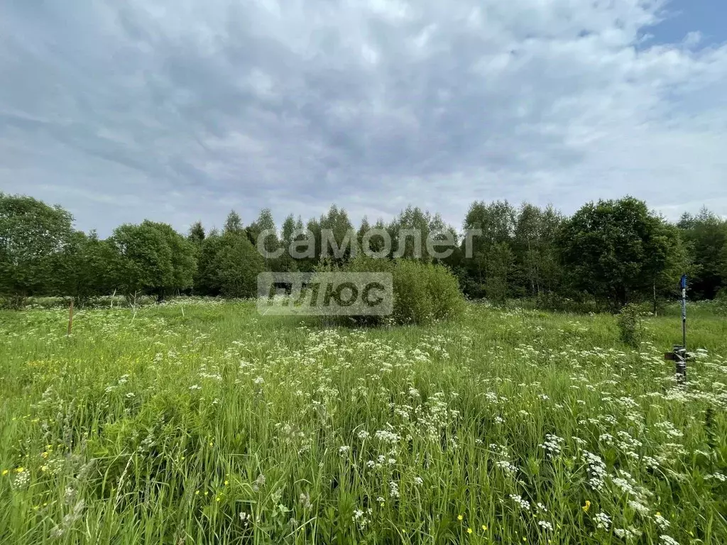 Участок в Московская область, Солнечногорск городской округ, д. ... - Фото 1