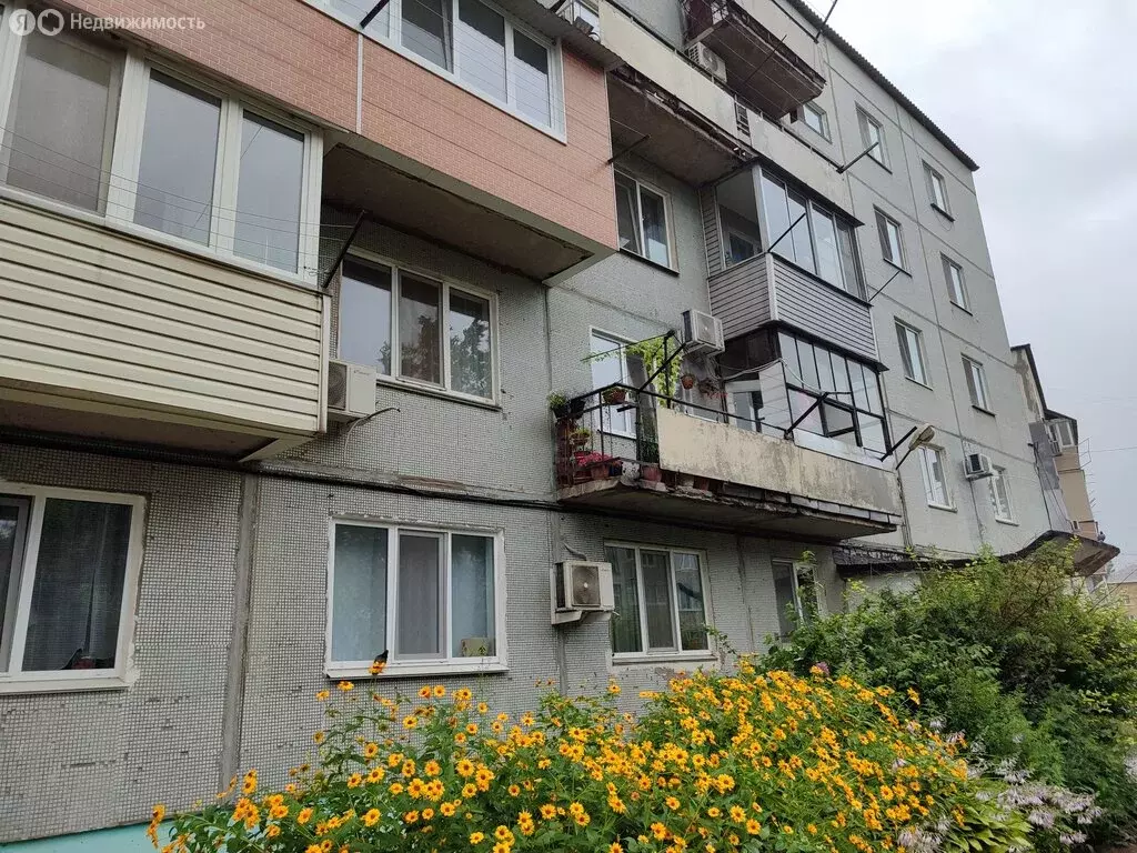 2-комнатная квартира: Партизанск, Центральная улица, 10А (50.4 м) - Фото 1