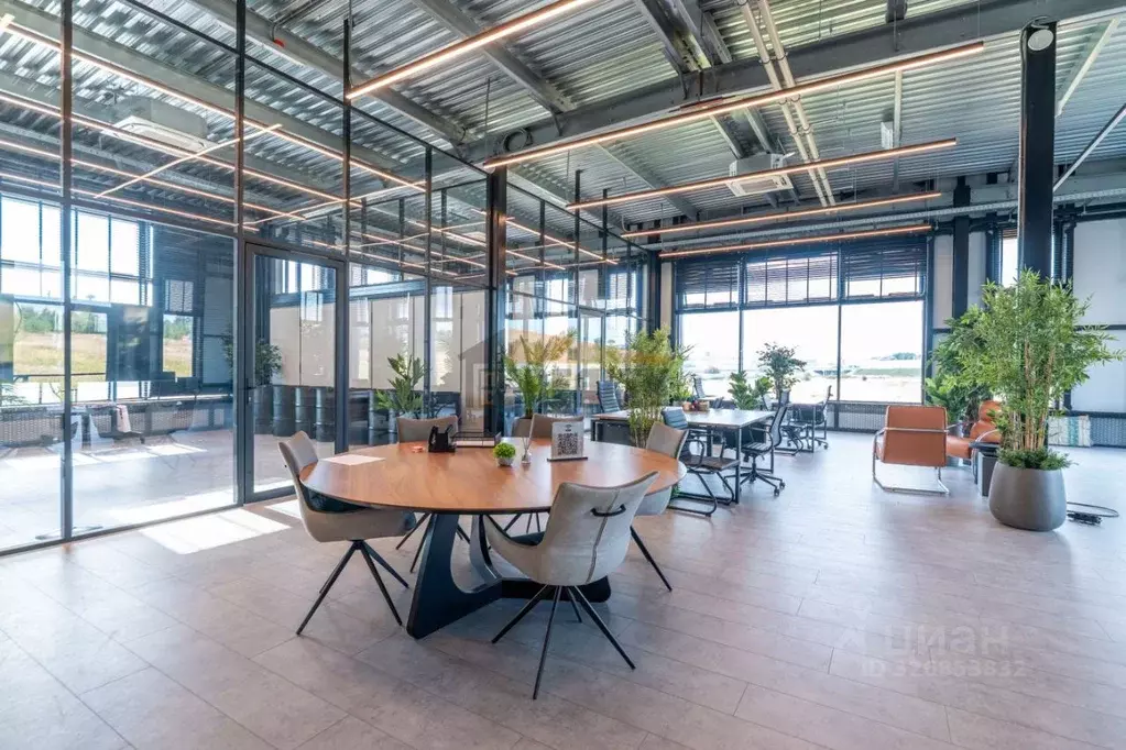 Торговая площадь в Московская область, Истра муниципальный округ, д. ... - Фото 2