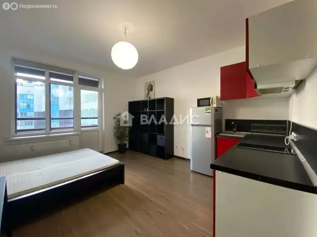 Квартира-студия: Санкт-Петербург, Арцеуловская аллея, 23к1 (24.6 м) - Фото 1