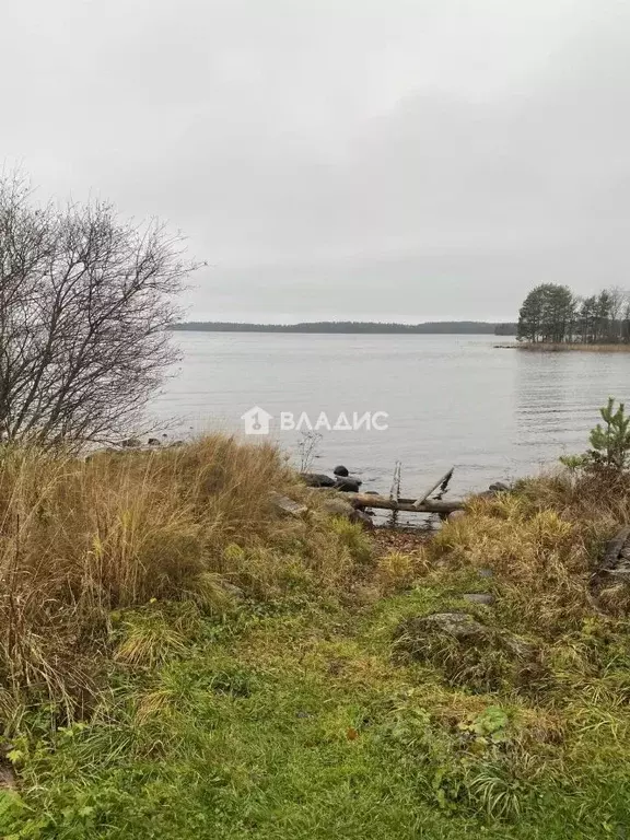 Участок в Карелия, Кондопожский муниципальный район, Петровское с/пос, ... - Фото 2