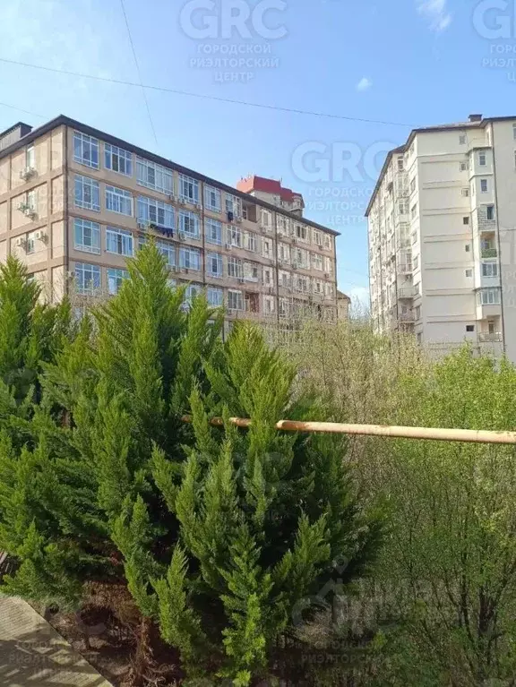 2-к кв. Краснодарский край, Сочи Вишневая ул., 18/7 (50.0 м) - Фото 1