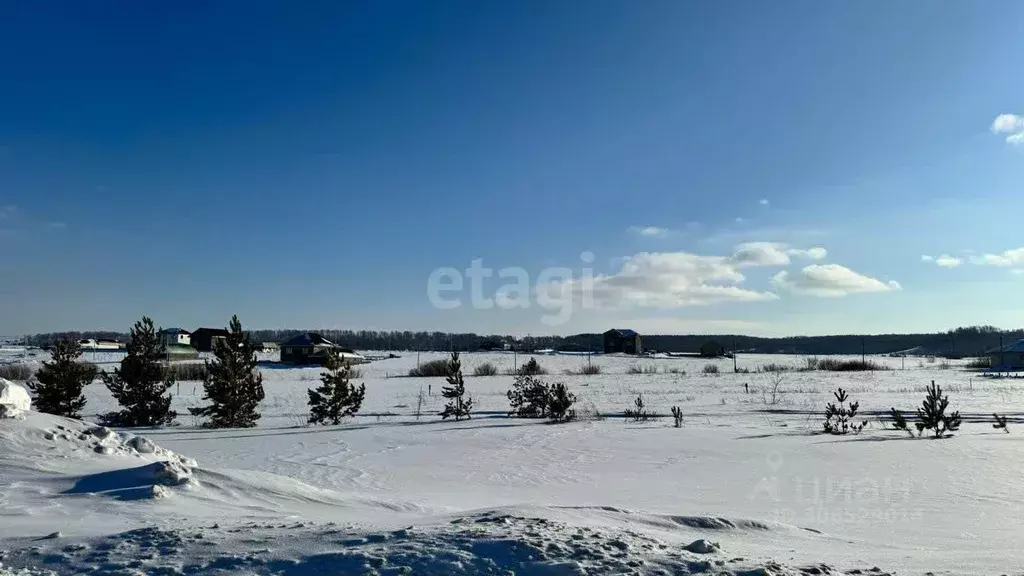 участок в татарстан, бавлы ул. шарипова (10.0 сот.) - Фото 0