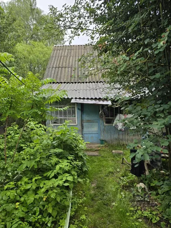 Дом в Калужская область, Козельск ул. Мичурина (31 м) - Фото 2