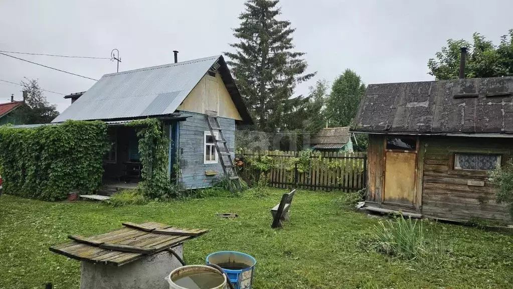 Дом в Тюменская область, Тюмень Березка СНТ, ул. 3-я Садовая (24 м) - Фото 1