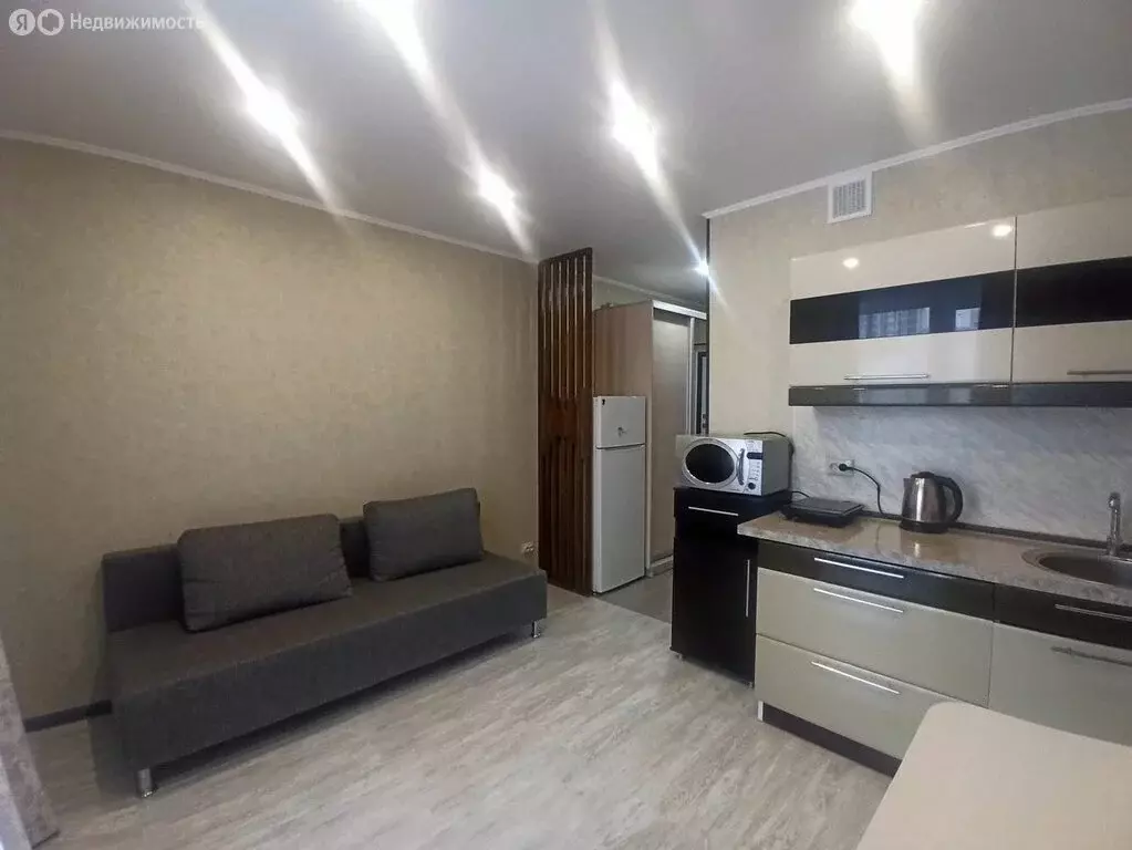 Квартира-студия: Патрушева, улица Александра Пушкина, 16 (20.5 м) - Фото 2
