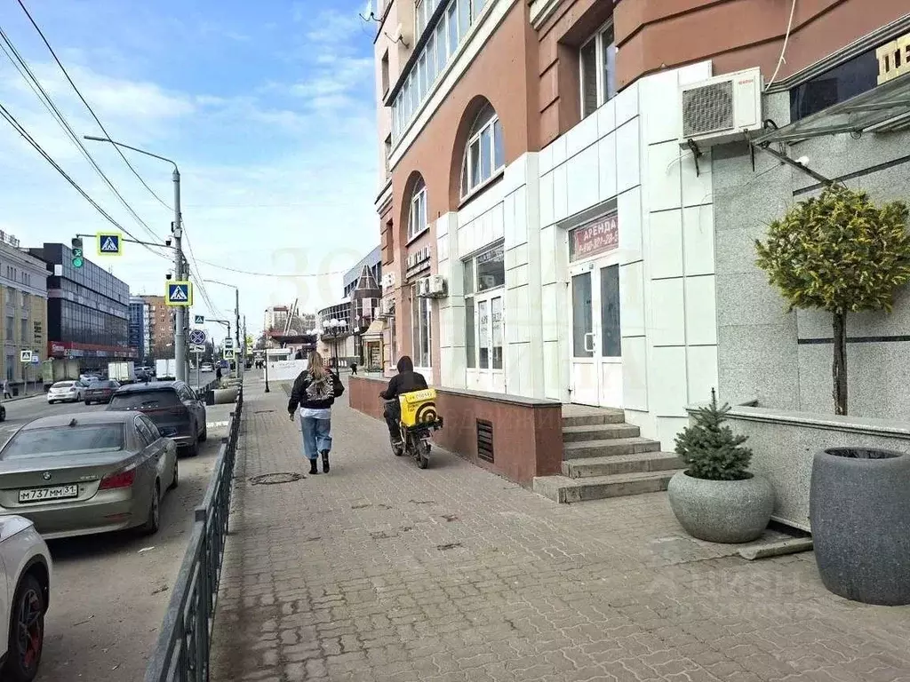 Торговая площадь в Белгородская область, Белгород Преображенская ул., ... - Фото 2