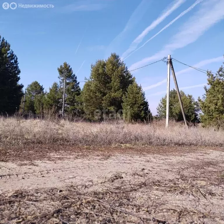 Участок в Пинеровское муниципальное образование, деревня Никольевка ... - Фото 1