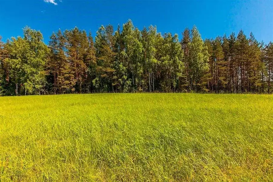 Участок в Свердловская область, Каменский городской округ, д. Ключи ... - Фото 0