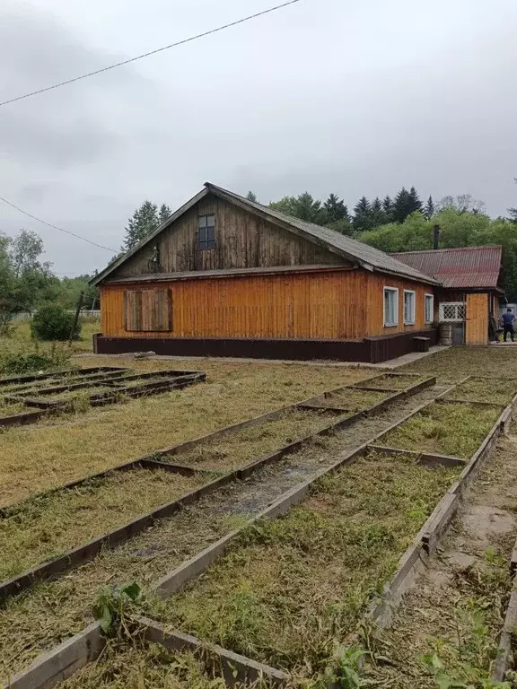 Дом в Сахалинская область, Поронайский городской округ, с. Восток ул. ... - Фото 1