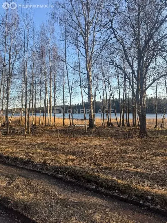 Участок в посёлок Студёное, улица Демидова (32 м) - Фото 2