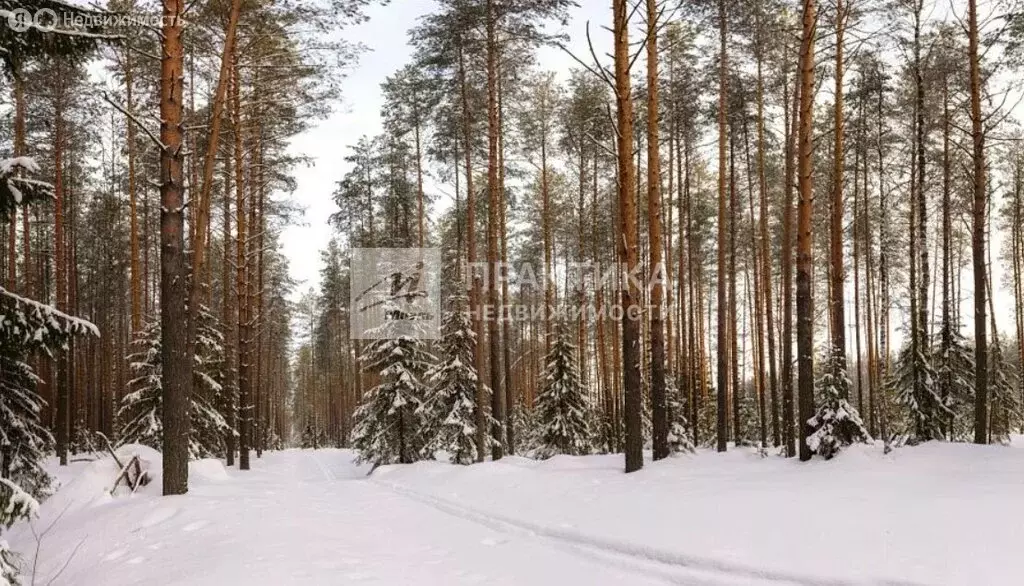 Участок в Московская область, муниципальный округ Истра, деревня ... - Фото 2