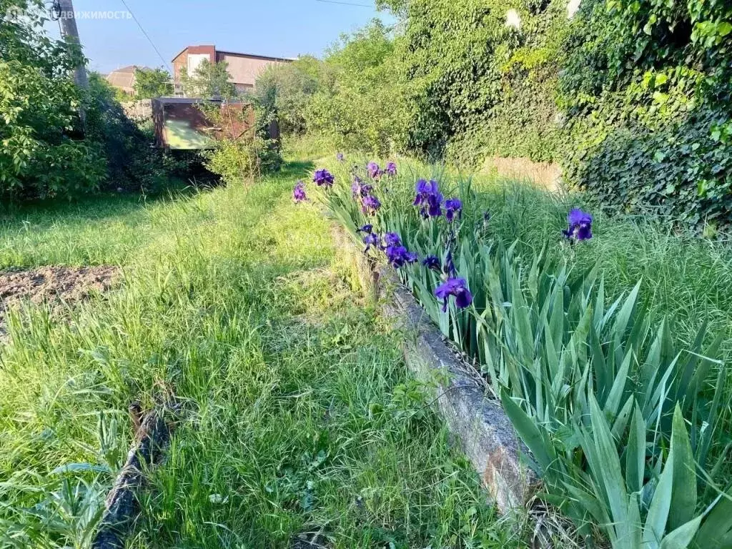 Дом в Феодосия, улица Панова, 98 (20 м) - Фото 1