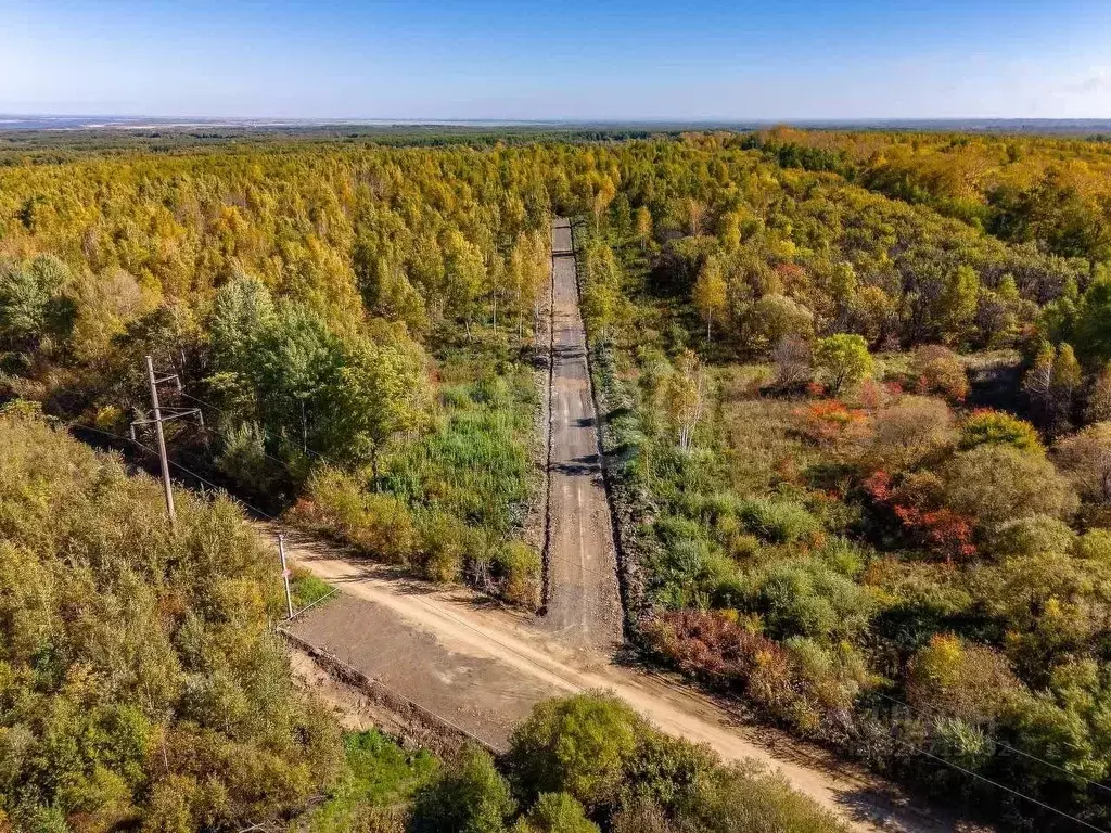 Участок в Хабаровский край, Хабаровский район, Мичуринское с/пос, с. ... - Фото 2