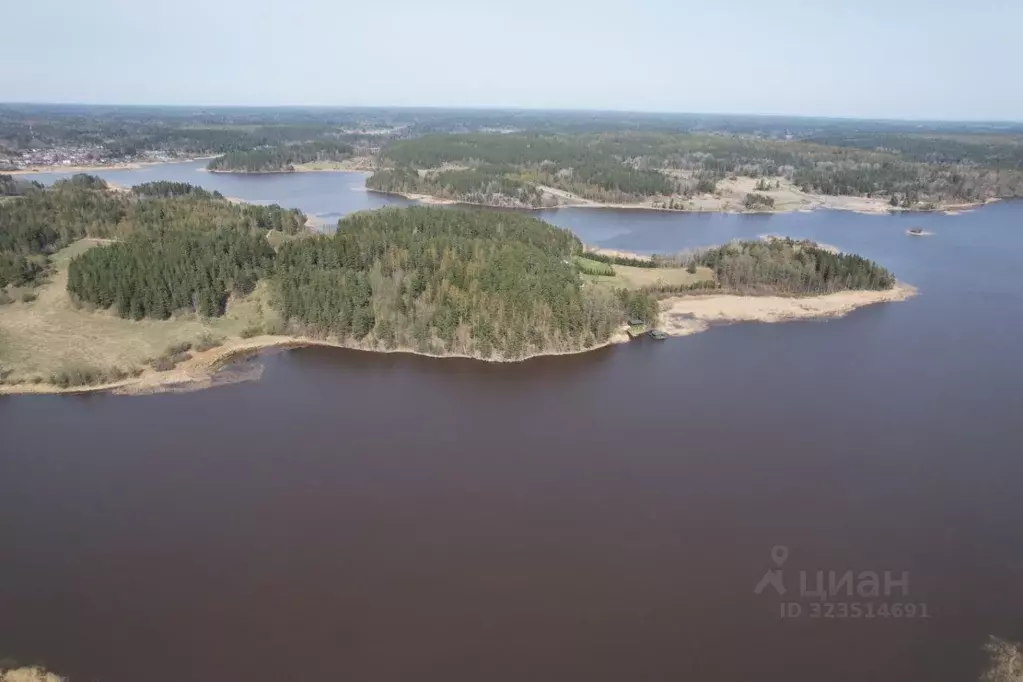 Участок в Карелия, Лахденпохский муниципальный округ, пос. Ласанен  ... - Фото 1