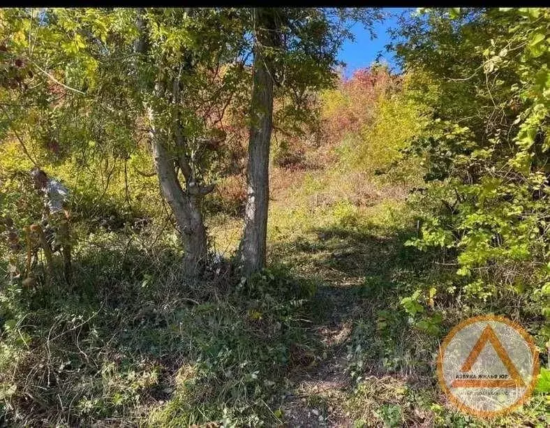 Участок в Краснодарский край, Туапсинский муниципальный округ, с. ... - Фото 2