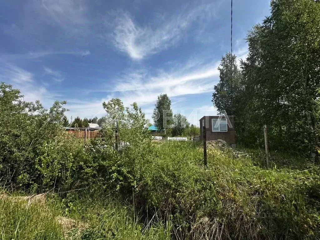 Участок в Тюменская область, Тюменский муниципальный округ, Нива СНТ ... - Фото 1