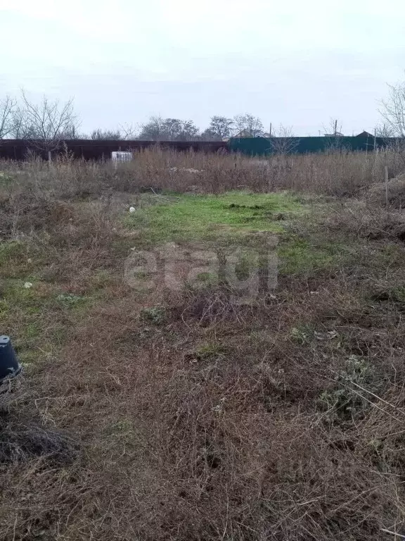 Участок в Саратовская область, Энгельсский район, Терновское ... - Фото 1