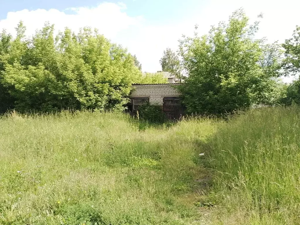 Помещение свободного назначения в Нижегородская область, Первомайск ... - Фото 0