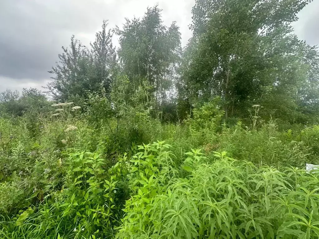 Участок в Московская область, Богородский городской округ, с. Стромынь ... - Фото 0