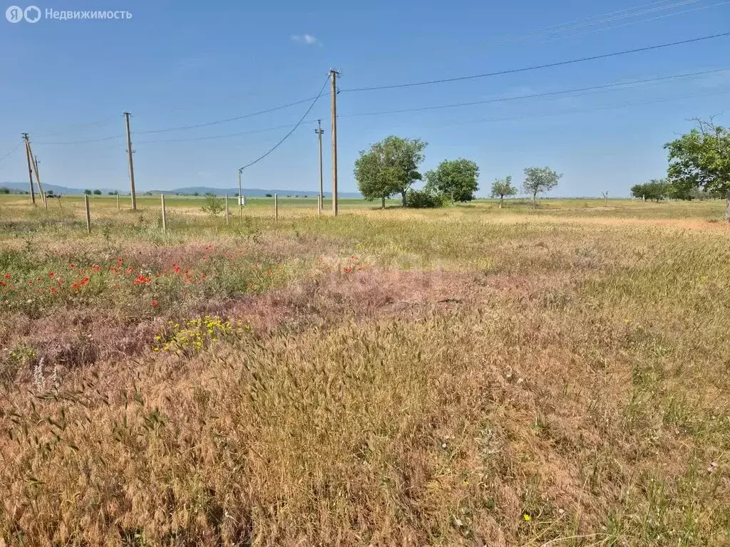 Участок в Приветное, Ореховая улица (15 м) - Фото 1