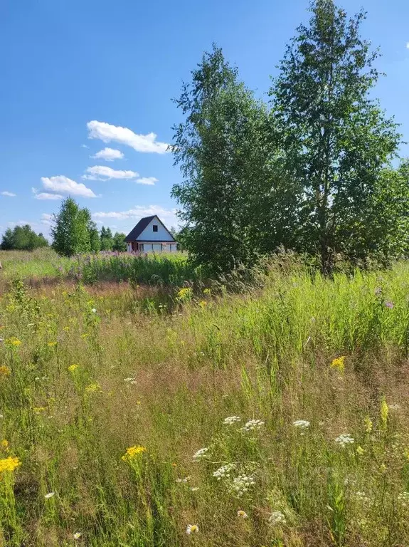 Участок в Пермский край, с. Усть-Качка, Серегино кп  (12.0 сот.) - Фото 1