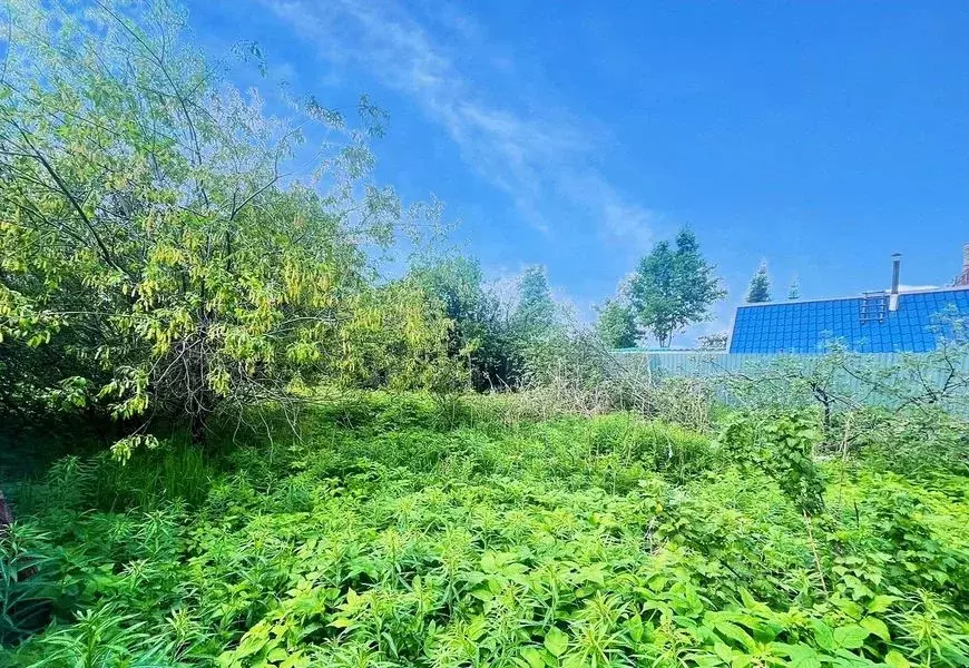 Участок в Свердловская область, Березовский муниципальный округ, пос. ... - Фото 2