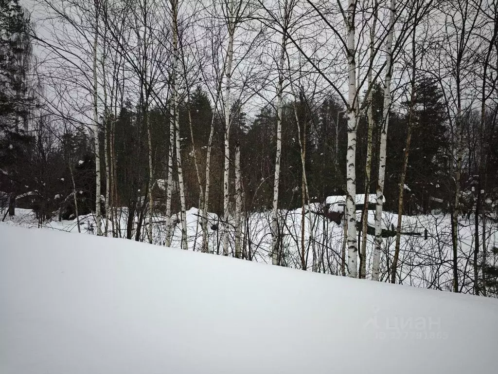 Участок в Московская область, Егорьевск муниципальный округ, д. ... - Фото 1