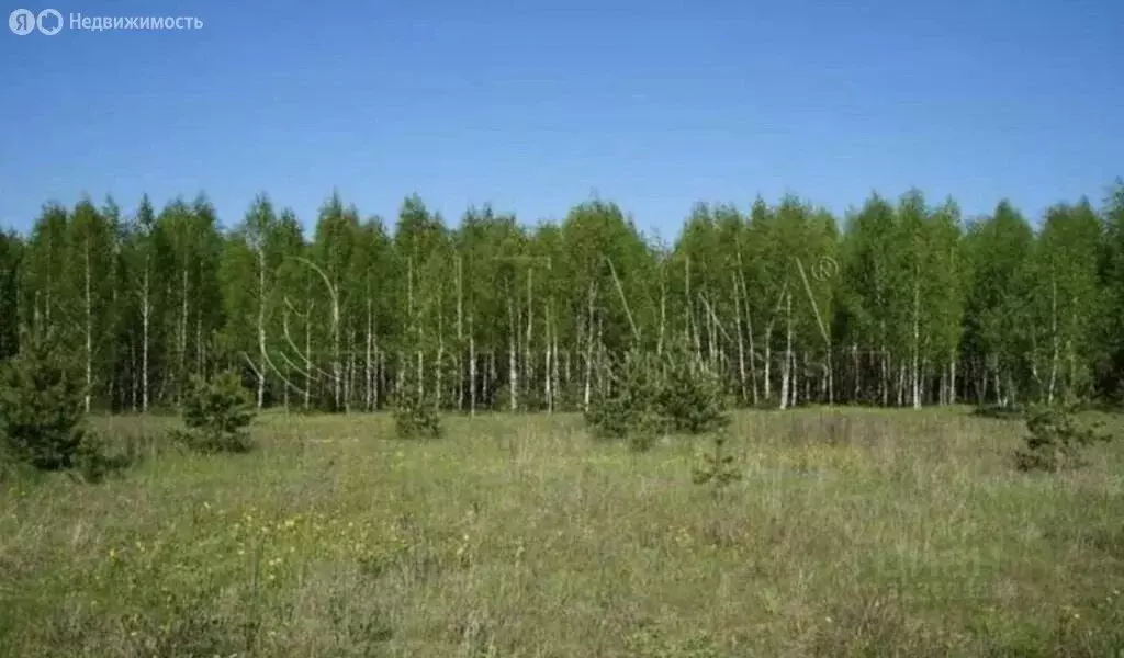 Участок в Выборгский район, Советское городское поселение, посёлок ... - Фото 1