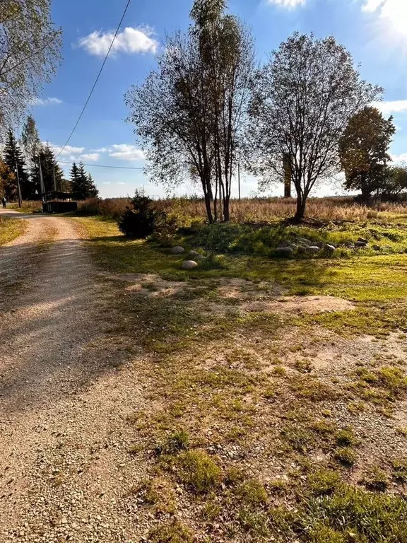 Участок в Ленинградская область, Волосовский район, Бегуницкое с/пос, ... - Фото 2