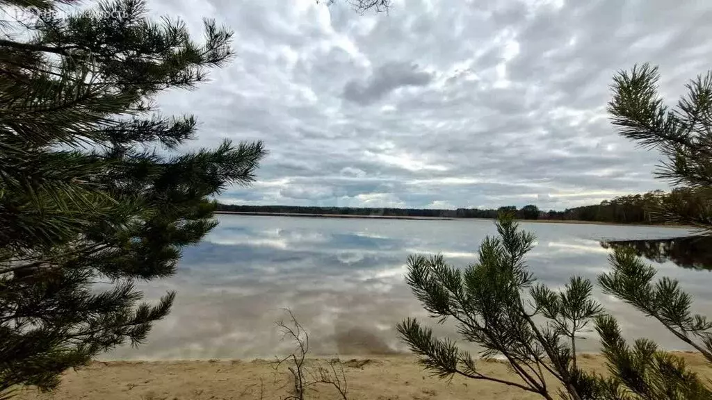 Участок в Нижегородская область, муниципальный округ Навашинский, село ... - Фото 2