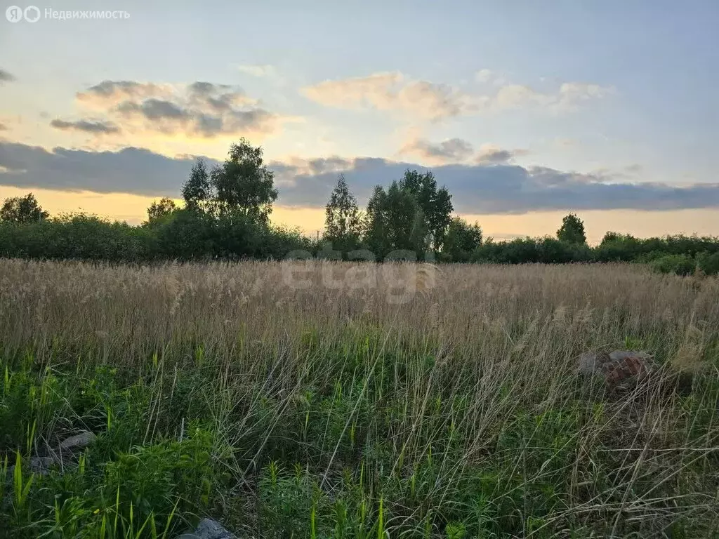 Участок в Тюмень, садовое товарищество Поле Чудес, Кукольный переулок ... - Фото 1