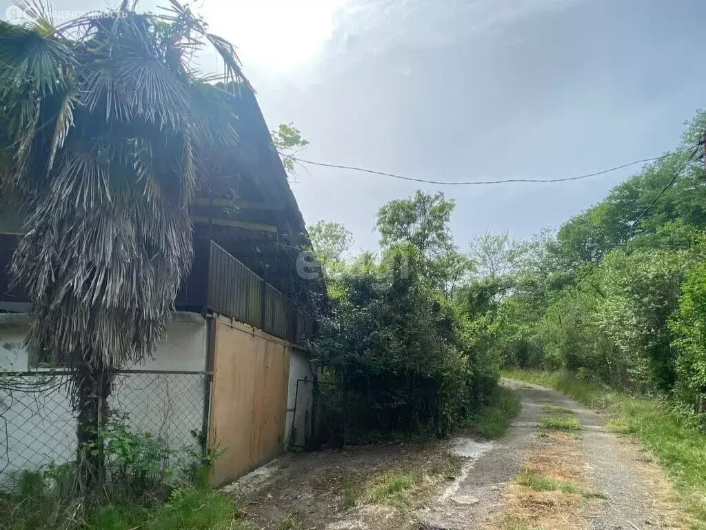 Дом в село Каткова Щель, СТ Химик (50 м) - Фото 1
