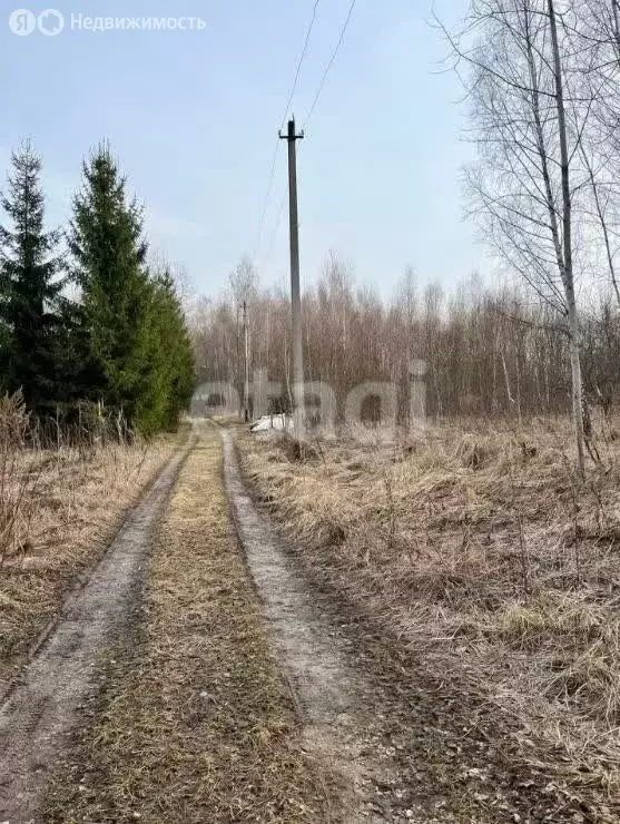 Участок в Алексин, СТ Рассвет (9 м) - Фото 1