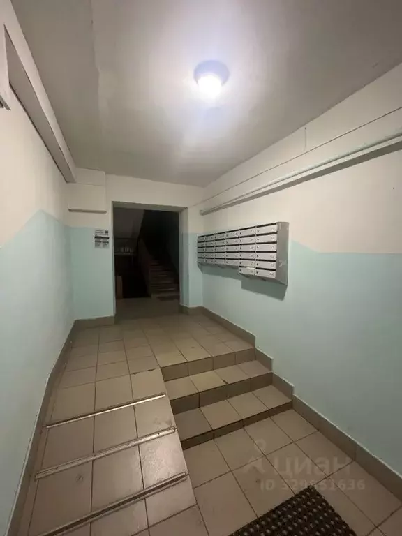 3-к кв. Кировская область, Киров ул. Некрасова, 38 (57.0 м) - Фото 2