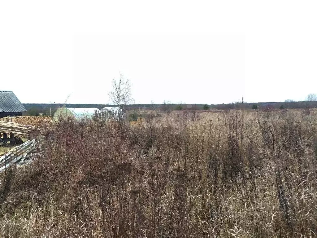 Участок в Вологодская область, Великоустюгский муниципальный округ, д. ... - Фото 1