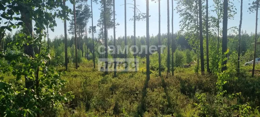 Участок в Коми, Сыктывкар городской округ, Верхняя Максаковка пгт 2-я ... - Фото 1