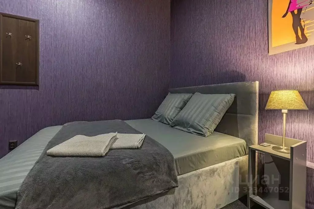 1-к кв. Нижегородская область, Нижний Новгород ул. Печерский Съезд, ... - Фото 2