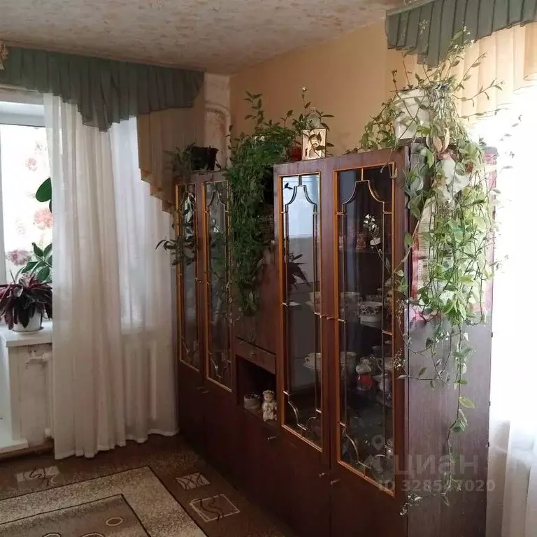 3-к кв. Нижегородская область, Вадский муниципальный округ, с. ... - Фото 2